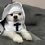 baratos Vestuário &amp; Acessórios-Fantasia fofa e engraçada de freira para cães e gatos, ideal para cosplay e fotos.