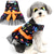 cheap Apparel &amp; Accessories-Halloween Dog Dresses for Small Dogs Cats Skulls Puppy Girl Halloween Costumes Fancy Dress Soft Pet Layered Lace Skirt with Bow Knot Chihuahua Yorkie Clothes Outfits