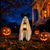 abordables Vêtements &amp; Accessoires-Kit de déguisement d'oie fantôme pour Halloween, comprenant un nœud décoratif en tissu et une mini-lanterne, une tenue festive pour figurine de jardin, idéale pour décorer l'entrée ou pour une fête en