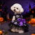 cheap Apparel &amp; Accessories-Halloween Dog Dresses for Small Dogs Cats Skulls Puppy Girl Halloween Costumes Fancy Dress Soft Pet Layered Lace Skirt with Bow Knot Chihuahua Yorkie Clothes Outfits