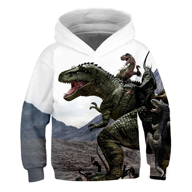 Pojkar 3D Grafisk 3D-utskrift Huvtröja och sweatshirt Pullover Långärmad 3D-tryck Aktiv Streetwear Barn Småbarn 3-12 år