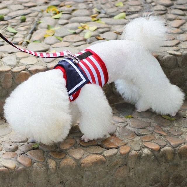  pet chest harness traction rope dog chain teddy small dog walking dog rope vip chest harness set