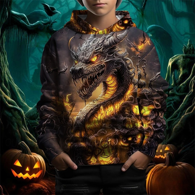 Boys 3D Graphic Dragon Hoodie Long Sleeve Spring Fall Fashion