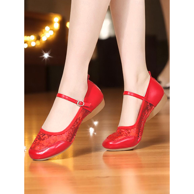  Women's Gold Glitter Mesh Ballet Flats with Embroidered Lace - Professional Dance Shoes for Stage Performance, Ballroom Practice and Recital Wear