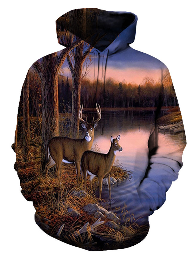  Men's Hoodie Sweatshirt Basic Designer Casual Graphic Animal Rainbow Print Hooded Daily Going out Long Sleeve Clothing Clothes Regular Fit