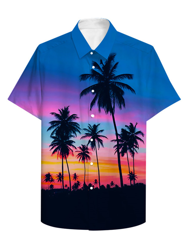  Муж. Рубашка Гавайская рубашка Летняя рубашка Графика Гавайский Алоха 3D Дизайн Отложной Цвет радуги С принтом Повседневные С короткими рукавами 3D печать Кнопка вниз Одежда