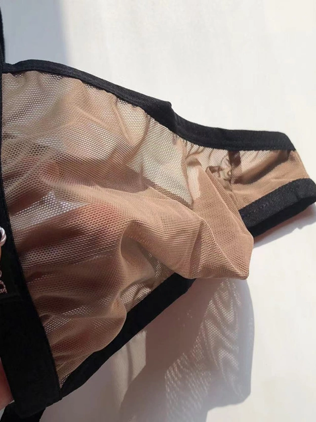 Men's Mesh Sexy Pure Color Panties Gstring Underwear Stretchy Low