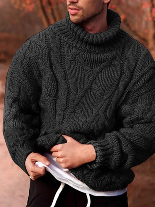  Men's Sweater Pullover Sweater jumper Chunky Knit Knitted Solid Color Stand Collar Basic Stylish Daily Holiday Clothing Apparel Fall Winter Army Green Dark Gray S M L / Long Sleeve / Turtleneck