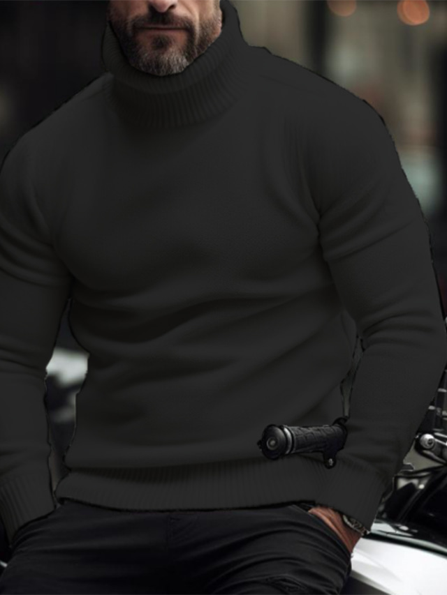  Herren Rollkragenpulli Pullover Strickpullover Rollkragenpullover für Herren Gerippt Stricken Standard Strick Glatt Rollkragen warm halten Moderne zeitgenössische Casual Freizeitskleidung Bekleidung