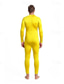 abordables Mat-Costumes Zentai Costume de cosplay Costume de peau Costume de Carnaval Combinaison Intégrale Homme Femmes Sexe Couleur Unie Spandex Lycra Costume pour Noël Halloween Carnaval Adulte