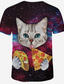 preiswerte T-Shirts für Herren mit 3D-Druck-Inspiriert von Cosplay Katze / Cosplay Anime Cosplay Kostüme Japanisch Cosplay-T-Shirt Katze / Himmel / Print Kurzarm T-shirt Für Herrn