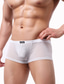 cheap Men&#039;s Underwear-Men&#039;s Normal Mesh Galaxy Boxers Underwear Briefs Underwear High Elasticity Low Waist Sexy Purple M / Club