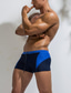 abordables Homme Maillots de bain et Shorts de plage-Homme Boxer Lacet Maillot de bain Bloc de couleur basique Sportif Bleu Ciel Vert Bleu roi / Fond de plage