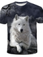 preiswerte T-Shirts für Herren mit 3D-Druck-Herren T Shirt Design Sommer 3D Tier Kurzarm Rundhalsausschnitt Täglich Festtage Bedruckt Kleidung Design Strassenmode Übertrieben Regenbogen