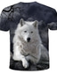 Χαμηλού Κόστους Ανδρικά 3D T-shirts-Ανδρικά Μπλουζάκι Υψηλής Ποιότητας Καλοκαίρι 3D Ζώο Κοντομάνικο Στρογγυλή Λαιμόκοψη Καθημερινά Αργίες Στάμπα Ρούχα Ρούχα Υψηλής Ποιότητας Κομψό στυλ street Εξωγκωμένος Ουράνιο Τόξο
