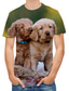 voordelige 3D T-shirts voor mannen-Voor heren T-shirt Overhemd Ontwerper Zomer Kleurenblok 3D dier Grote maten Korte mouw Ronde hals Dagelijks Club Afdrukken Kleding Kleding Ontwerper Rots Streetwear Bruin