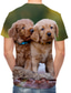 voordelige 3D T-shirts voor mannen-Voor heren T-shirt Overhemd Ontwerper Zomer Kleurenblok 3D dier Grote maten Korte mouw Ronde hals Dagelijks Club Afdrukken Kleding Kleding Ontwerper Rots Streetwear Bruin