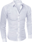 abordables Chemises Habillées-Chemise homme couleur unie col boutonné travail quotidien hauts manches longues basique blanc noir vin travail chemises habillées