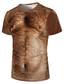 halpa Miesten 3D-T-paidat-Miesten T-paita Suunnittelija Kesä Lyhythihainen Kuvitettu 3D Orangutan Painettu Pluskoko Pyöreä kaula-aukko Päivittäin Pyhäpäivä Painettu Vaatteet Vaatteet Suunnittelija Liioiteltu Hauska Ruskea