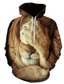billiga 3d hoodies för män-Herr Tröja med tröja Designer Ledigt Grafisk Lejon Tryck Huva Dagligen Helgen Långärmad Kläder Kläder Normal 1# 2# Regnbåge