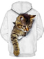 billiga grafiska hoodies-Herr Hoodie-tröja Framficka 3D-tryck Designer Grafisk Katt 1# 2# 3# Vit Tryck Huva Dagligen Långärmad Kläder Kläder Normal