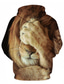 abordables sweats à capuche 3d pour hommes-Homme Sweat à capuche Design Casual Graphic Lion Print Capuche du quotidien Fin de semaine Manches Longues Vêtements Standard 1# 2# Arc-en-ciel