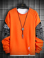 billige Hættetrøjer med tryk-Herre Pullover-sweatshirt Farveblok Rund hals Afslappet Hættetrøjer Sweatshirts Langærmet Tynd Blå Kakifarvet Orange