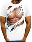 billiga T-shirts med 3D-tryck till herrar-Herr T-shirt T-shirts Roliga T-shirts Grafisk Muskel Rund hals Vit / Svart Svart Vit Blå Brun 3D-tryck Dagligen Helgdag Kortärmad 3D Mönster Kläder Sport Ledigt Muskel