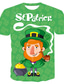 cheap Men&#039;s Casual T-shirts-Inspired by St. Patrick&#039;s Day 2022 Shamrock Irish T-shirt Anime 100% Polyester Anime 3D Harajuku Graphic T-shirt For Men&#039;s / Women&#039;s / Couple&#039;s