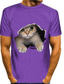 billiga Grafisk T-shirt för män-katt i hål grafisk skjorta för herr 3d färgglad sommar bomull t-shirt djurtryck rund hals grön blå lila gul orange plus storlek casual daglig kort t-shirt
