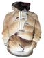 Χαμηλού Κόστους ανδρικά 3d hoodies-Ανδρικά Φούτερ πουλόβερ με κουκούλα και πουλόβερ Υψηλής Ποιότητας Καθημερινό Γραφική Λιοντάρι Στάμπα Με Κουκούλα Καθημερινά Σαββατοκύριακο Μακρυμάνικο Ρούχα Ρούχα Κανονικό 1# 2# Ουράνιο Τόξο
