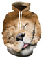 billiga 3d hoodies för män-Herr Tröja med tröja Designer Ledigt Grafisk Lejon Tryck Huva Dagligen Helgen Långärmad Kläder Kläder Normal 1# 2# Regnbåge