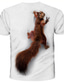cheap Men&#039;s Graphic Tshirts-Men&#039;s T shirt Tee Tee Funny T Shirts Graphic Animal Squirrel Round Neck Sea Blue White Yellow Red Blue 3D Print Daily Holiday Short Sleeve Print Clothing Apparel Streetwear Exaggerated Designer Basic