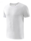 billige Casual T-shirts til mænd-Herre Fugttransporterende skjorter T-shirt Vanlig Rund hals Gade Ferie Kortærmet Tøj Mode Designer Afslappet Bekvem