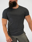 baratos Camisetas masculinas casuais-t-shirt polyster masculina l azul-celeste sólido gola redonda t-shirt de manga curta top