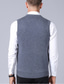 ieftine veste pulover1-Bărbați Vestă pulover Pulover de lână Tricotat Tricotat Plisat În V Stilat Stil Vintage Îmbrăcăminte Iarnă Toamnă Roșu Vin Gri Deschis S M L