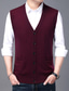 Χαμηλού Κόστους γιλέκα πουλόβερ1-Ανδρικά Πουλόβερ Μαλλινη μπλουζα Γιλέκο Πλέκω Πλεκτό Συμπαγές Χρώμα Λαιμόκοψη V Στυλάτο Πεπαλαιωμένο Στυλ Καθημερινά Ρούχα Ρούχα Χειμώνας Φθινόπωρο Πράσινο του τριφυλλιού Κρασί Τ M L