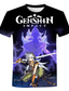 preiswerte Männer Grafik Tshirt-Inspiriert von Genshin-Einschlag Cosplay Anime Zeichentrick 100% Polyester Bedruckt 3D Harajuku Grafik T-shirt Für Herren / Damen