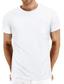 ieftine Tricouri casual pentru bărbați-Bărbați Tricou Simplu Stil Nautic Îmbrăcăminte Atletică Purtare Zilnică Manșon scurt Buzunar Îmbrăcăminte Stilat Tradițional / Clasic
