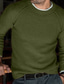 ieftine pulover pentru bărbați-Bărbați Pulover Plover Săritor Tricotat Tricotat Culoare solidă Stil Nautic Stilat Stil Vintage Zilnic Toamnă Iarnă Trifoi Alb S M L / Manșon Lung