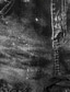 billige Bukser til kvinner-Dame Retro / vintage Mager Bukser Fritidssport Trykt mønster Grafisk Høy Midje Marineblå Vin Rosa Ren svart Grønn S M L XL XXL