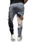 זול מכנסי טרנינג-בגדי ריקוד גברים מעצב מקרי / ספורטיבי רָץ לְהַנָאָתוֹ מכנסיים מכנסי טרנינג הדפסת תלת מימד שרוך אלסטית מותניים באורך מלא מכנסיים קזו&#039;אל יומי מיקרו-אלסטי גראפי נשר חוץ ספורט מותן בינוני אפור S M L XL