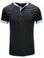 voordelige henley overhemden voor heren-Voor heren T-shirt Kleurenblok Ronde hals Medium Lente zomer blauw Zwart Grijs