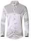 billiga Formella skjortor-Herr Blus Skjorta Ensfärgat Krage Ledigt Arbete Långärmad Blast Vintage Klassisk Ljusblå Marin Vit / Sommar