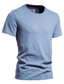 billige Casual T-skjorter for menn-herre t-skjorte ensfarget rund hals gate daglig kortermede topper designer uformell mote komfortabel hvit svart blå / strand