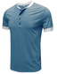 billige henley skjorter til mænd-Herre T-shirt Farveblok Rund hals Medium Forår sommer Blå Sort Grå