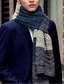 billige Halstørklæder og handsker til mænd-Herre Rektangulært tørklæde Dagligdagstøj Stævnemøde Blå Vin HALSTØRKLÆDE Farveblok