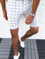 ieftine pantaloni scurți chino pentru bărbați-Bărbați Pantaloni scurti chino Fermoar Stilat Casual / Sport Casual Zilnic Micro-elastic Amestec Bumbac Respirabil Ușor Exterior Zăbrele Talie medie Alb Negru Gri Deschis M L XL