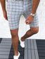 billiga chinoshorts för män-Herr Chino Shorts Dragkedja Stylish Ledig / Sportig Ledigt Dagligen Microelastisk Bomullsblandning Andningsfunktion Lättvikt Utomhus Galler Medium Midja Vit Svart Ljusgrå M L XL
