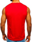 cheap Gym Tank Tops-Men&#039;s Tank Top Vest Undershirt T shirt Tee Graphic Color Block Crew Neck Casual Daily Print Sleeveless Tops Lightweight Fashion Muscle Big and Tall White Black Red / Summer